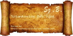 Sztankovics Bálint névjegykártya